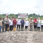 Peduli Swasembada Pangan, Bupati Kasmarni Tanam Perdana Kelapa Sawit Program PSR di Desa Muara Dua IMG-20250925-WA0035