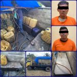 5b0bd2f0-6bd6-47d6-a48f-bf30a80c2a59