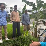Wakil Bupati Solok Serahkan Bantuan untuk Warga Terdampak Banjir dan Galodo di Nagari Aie Dingin a785ed89-15a6-4eab-b860-01ccdb1af862