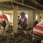 dda9424d-a86b-4d1f-be24-52e3f38eeef1