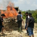 IMG-20260307-WA0126(1)