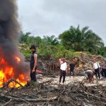 47bd4d3d-87e0-4335-988c-92183c335d28