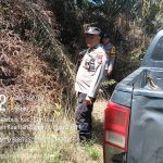 IMG-20260530-WA0102