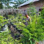 Kapolsek Bukit Batu Kunjungi Ladang Cabai di Desa Pangkalan Jambi IMG-20260607-WA0079