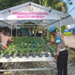 Polsek KSKP Polres Dumai Rawat Bibit Hidroponik Tahap II, Dukung Kegiatan Ketahanan Pangan Nasional IMG-20260609-WA0064