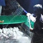 Kapal Tangkap Ikan BUMDes Lecah Lestari Sukses dalam Sektor Ketahanan Pangan IMG-20260703-WA0002