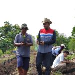 Pokmas Alam Tani Binaan Pertamina Patra Niaga Kilang Dumai Tanam 1.000 Bibit Kopi Robusta IMG-20260828-WA0002